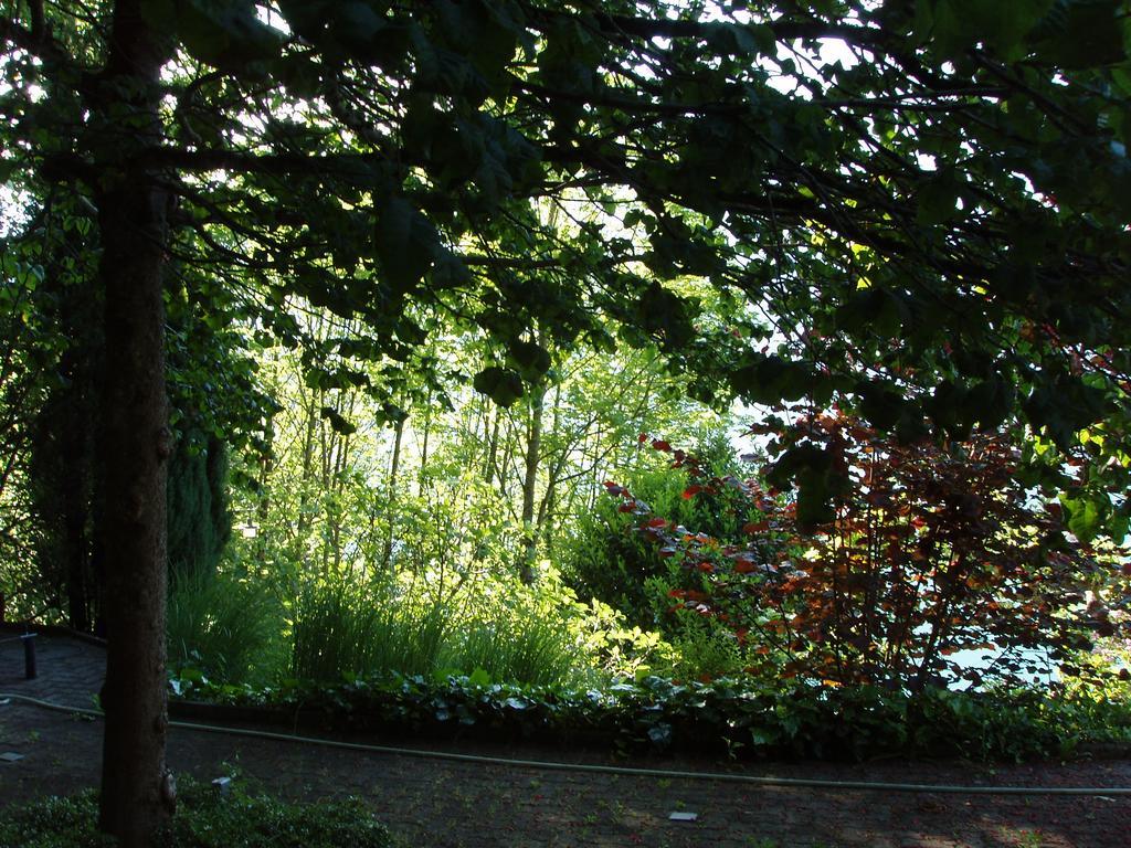 Ferienwohnung Selinda Niederried bei Interlaken Exterior foto
